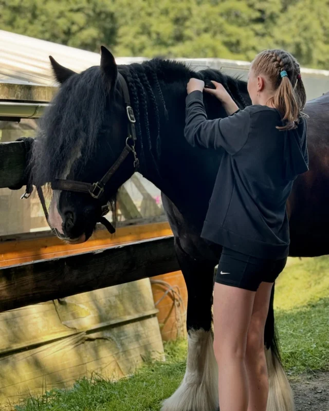 Ahoj kamarádi, 

léto už je za námi a my bychom vám rádi představili plán kroužků na I. pololetí školního roku 2024/25.

💜 Děti a rodiče na farmě
- 1x v týdnu na 2 hodiny s aktivní účastí rodiče 
- pondělí 9:30 - 11:30 hod. 
- krmení a péče o poníky, kozlíky, prasátka
- pohybové aktivity 
- poznávání přírody a života na farmě
- minimální počet účastníků 3 děti + rodiče
- cena za setkání 300,- 

🩷 Děti předškolního věku
- 1x v týdnu na 2 hodiny
- pondělí  13:00-15:00hod.
- jízda na ponících a koních, vedení koně, práce s koněm ze země
- péče o koně a stáj
- vánoční besídka
- cena na pololetí (13 lekcí) 5.850,-

🩵 Děti školního věku
- 1x v týdnu na 2 hodiny
- úterý 15:00-17:00hod. nebo středa 15:00-17:00hod.
- jízda na ponících a koních, vedení koně, práce s koněm ze země
- péče o koně a stáj
- teorie jezdeckého sportu
- vánoční besídka
- cena na pololetí (14 lekcí) 6.300,-

Začínáme v týdnu od 16.9.👏

Jezdecké vybavení zapůjčíme (helma), rádi doporučíme a konkrétní informace naleznete i v přihlášce, která bude brzy ke stažení na www.sykoruvmlyn.cz

Těšíme se na vás😊